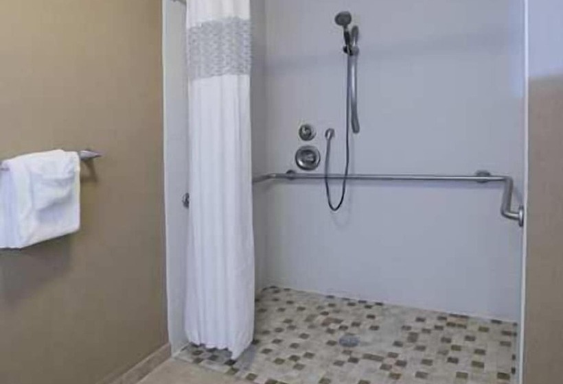 酒店 Hampton Inn Tuscaloosa University