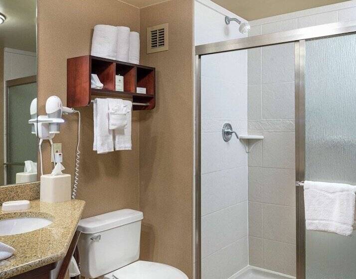 酒店 Hampton Inn Tuscaloosa University