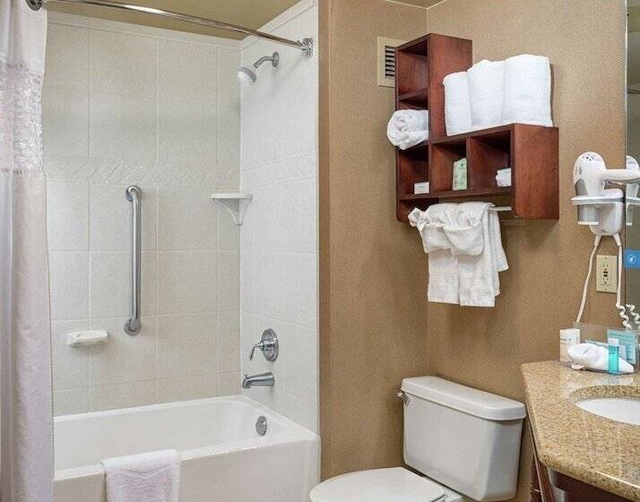 酒店 Hampton Inn Tuscaloosa University