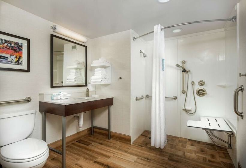 酒店 Hampton Inn Tuscaloosaeast