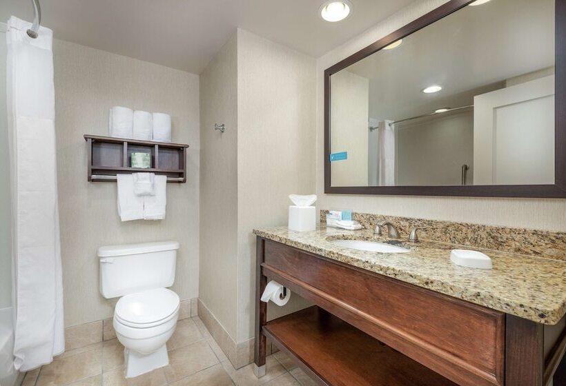 هتل Hampton Inn Tuscaloosaeast