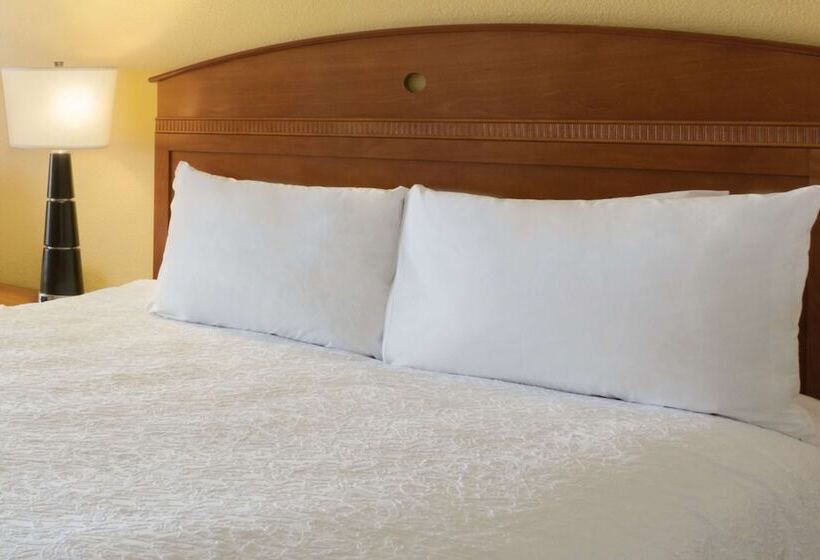 酒店 Hampton Inn Youngstown/boardman