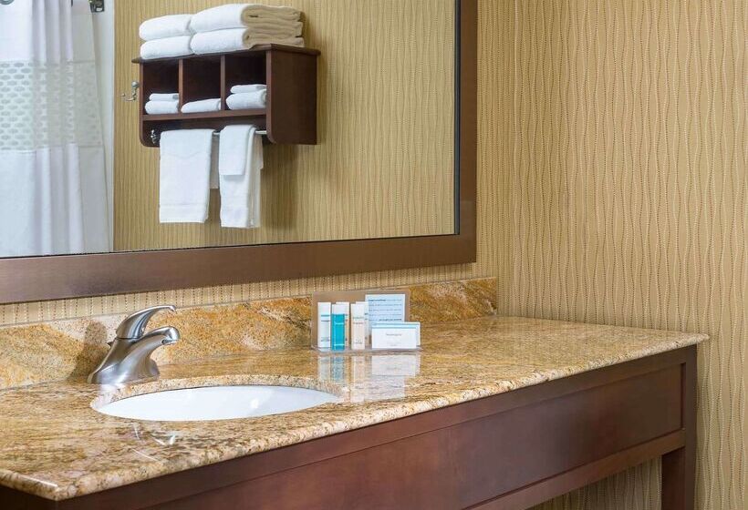 בית מלון כפרי Hampton Inn Zanesville