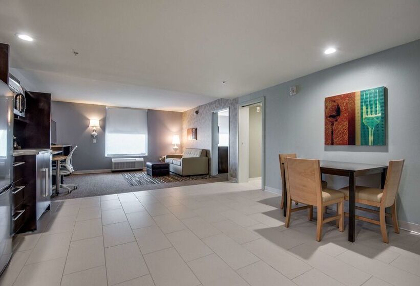 호텔 Home2 Suites By Hilton Dfw Airport South/irving, Tx