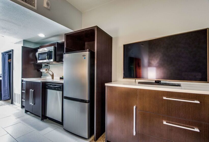 هتل Home2 Suites By Hilton Dfw Airport South/irving, Tx