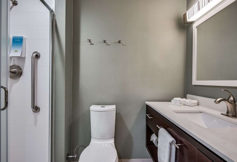 호텔 Home2 Suites By Hilton Dfw Airport South/irving, Tx