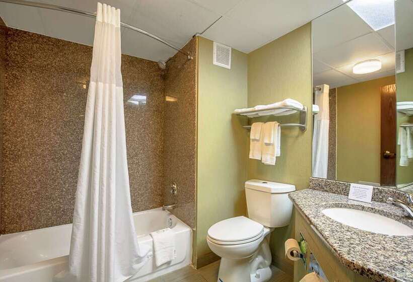 Отель Quality Inn Holly Springs South