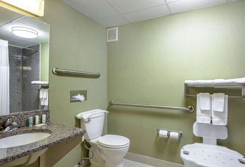 Отель Quality Inn Holly Springs South