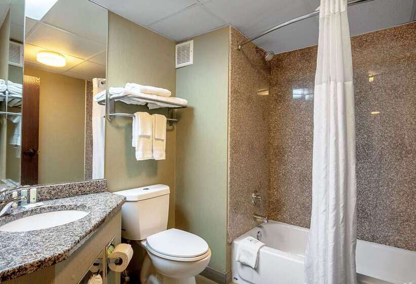 Отель Quality Inn Holly Springs South