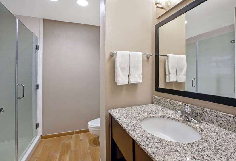 酒店 La Quinta Inn & Suites By Wyndham Detroit Metro Airport