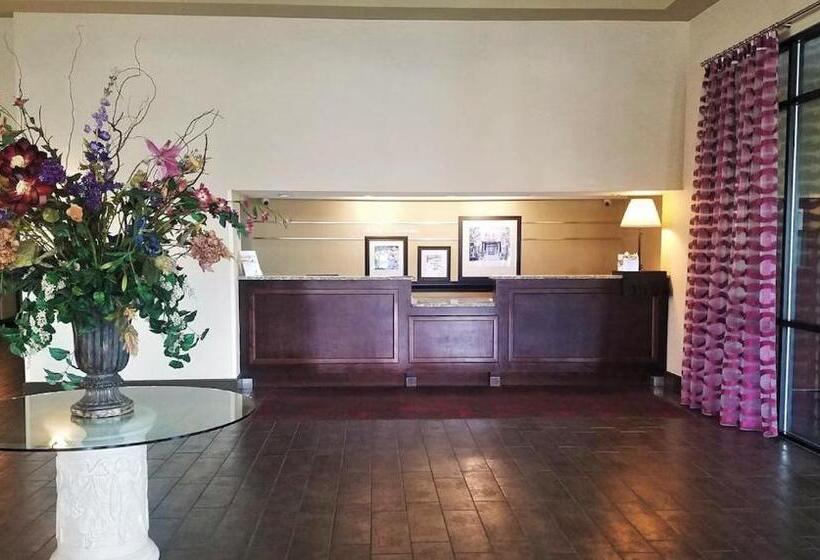 בית מלון כפרי Orlando Palms