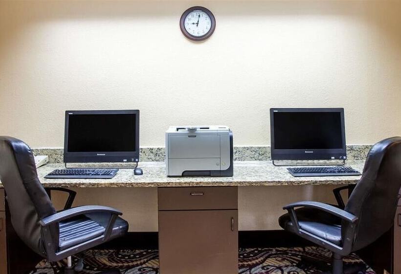 בית מלון כפרי Orlando Palms