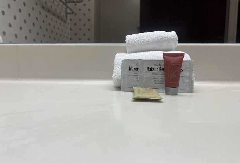 בית מלון כפרי Orlando Palms