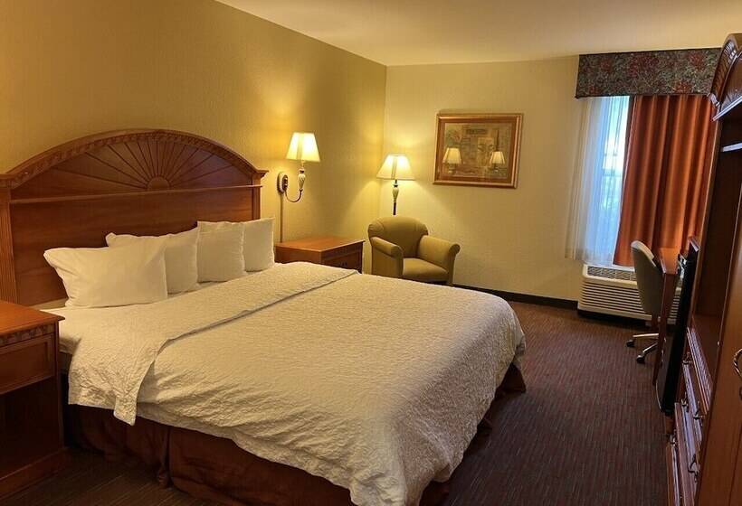 בית מלון כפרי Orlando Palms