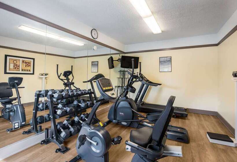 酒店 Quality Inn Albany