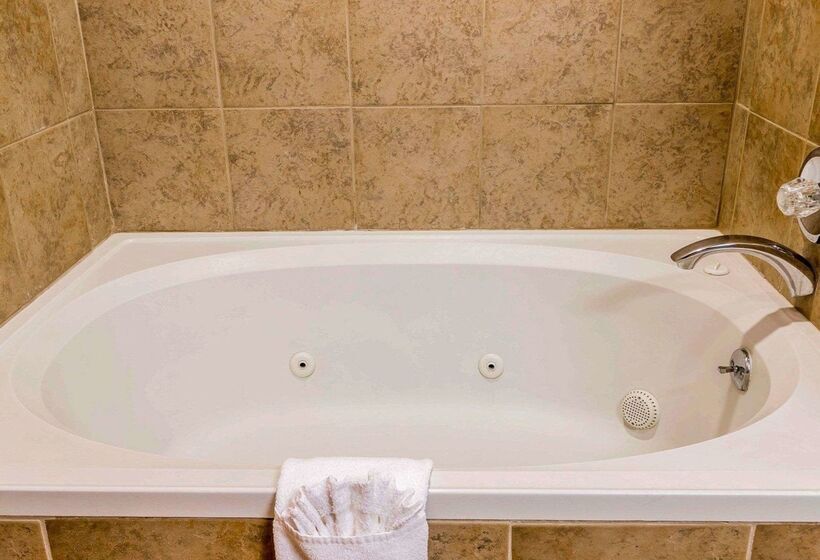 בית מלון כפרי Quality Inn Auburn Hills   Detroit North