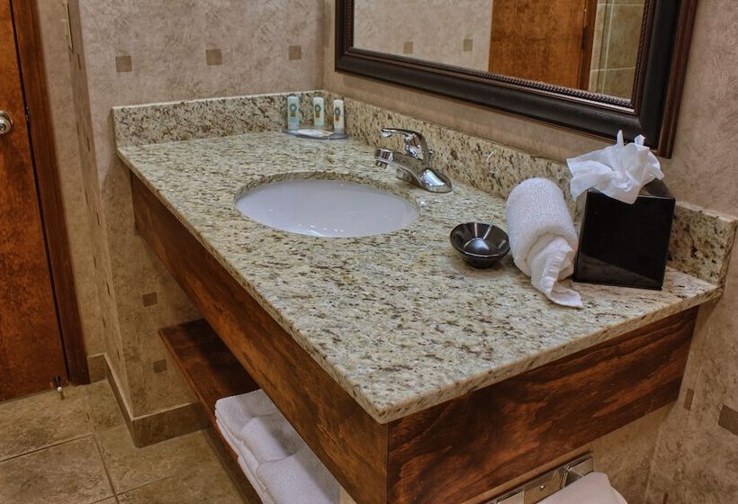 בית מלון כפרי Quality Inn Auburn Hills   Detroit North