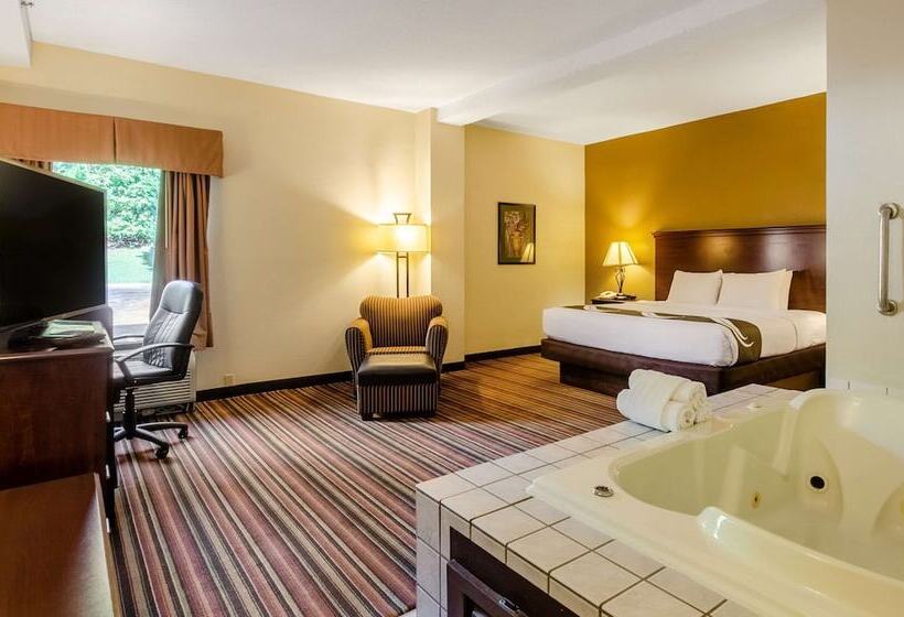 酒店 Quality Inn Danville   University Area