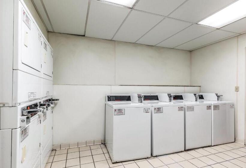 ホテル Red Roof Inn Plus & Suites Houston   Iah Airport Sw