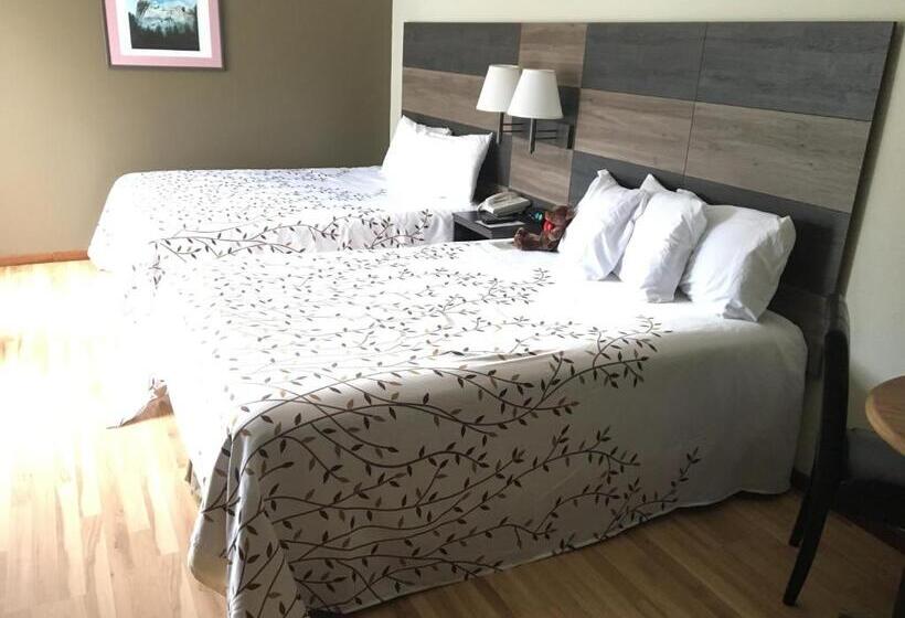 Отель Roosevelt Inn Mount Rushmore