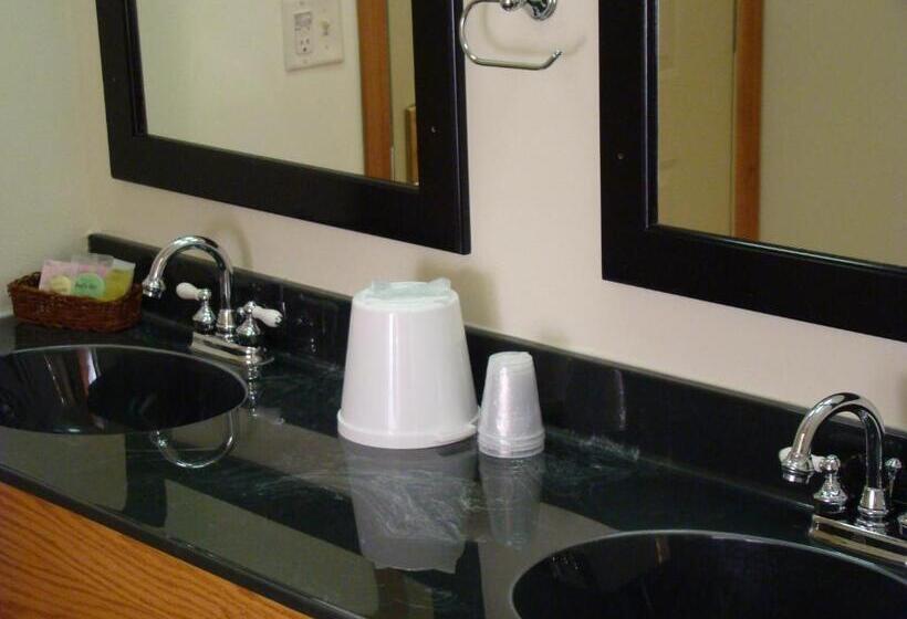 Отель Roosevelt Inn Mount Rushmore