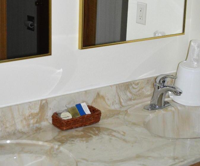 هتل Roosevelt Inn Mount Rushmore