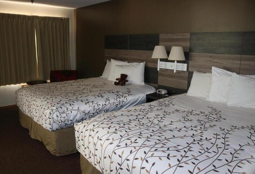 Отель Roosevelt Inn Mount Rushmore