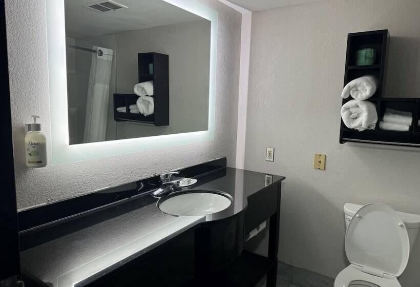 هتل Wingate By Wyndham North Little Rock