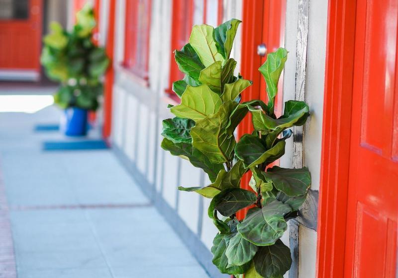 モーテル The Hamlet Inn