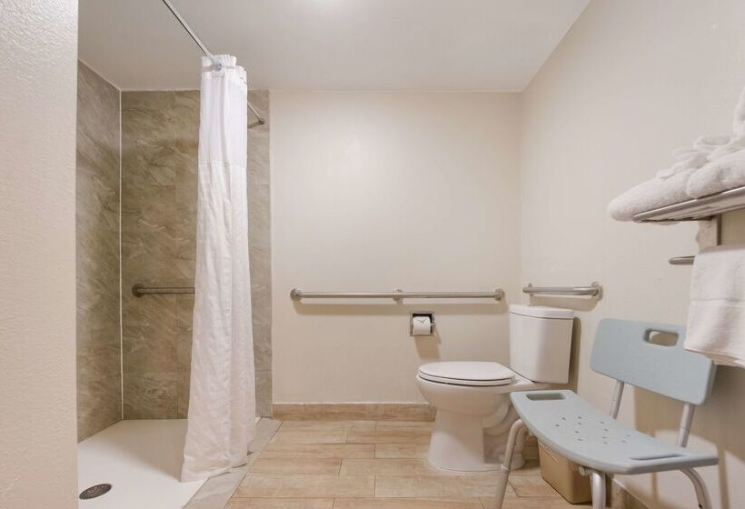 Surestay Hotel By Best Western St. Pete Clearwater Airport