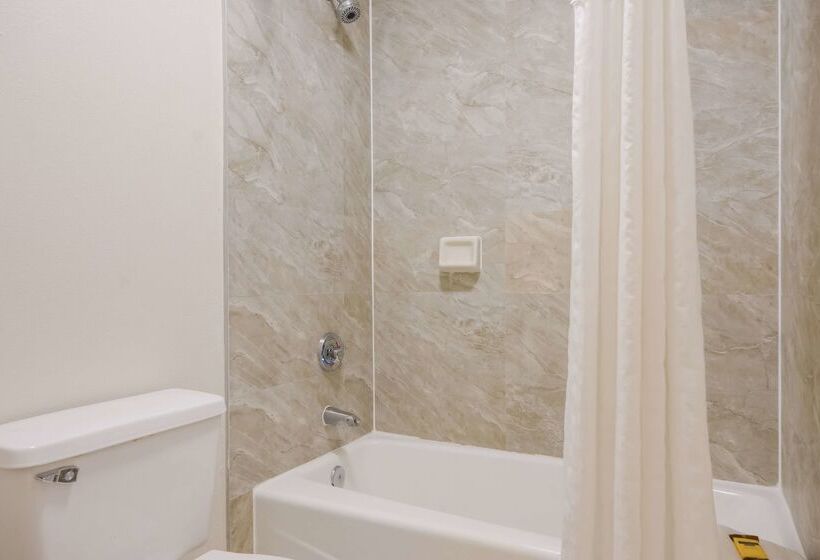 Surestay Hotel By Best Western St. Pete Clearwater Airport