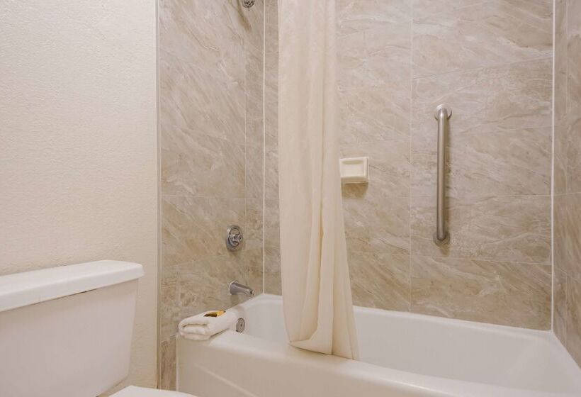 Surestay Hotel By Best Western St. Pete Clearwater Airport