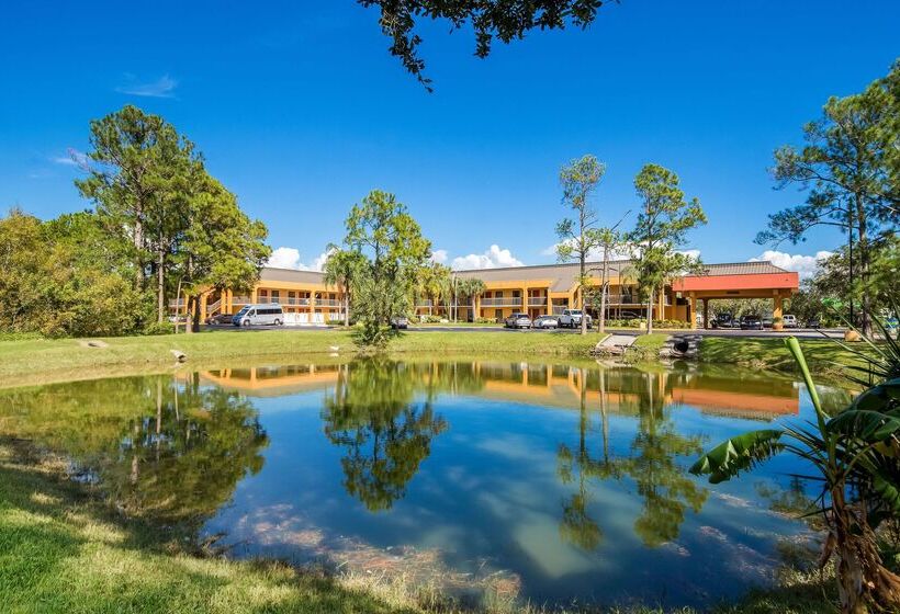 Surestay Hotel By Best Western St. Pete Clearwater Airport