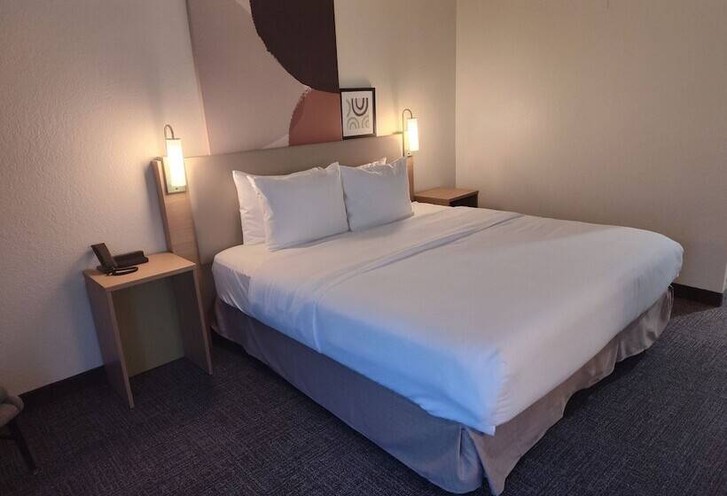 ホテル Spark By Hilton Stevensville