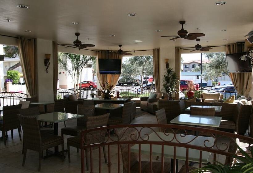 Surestay Plus Hotel By Best Western Tempe University