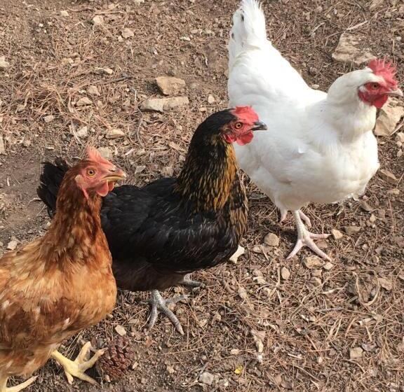 住宿加早餐  La Chambre Haute