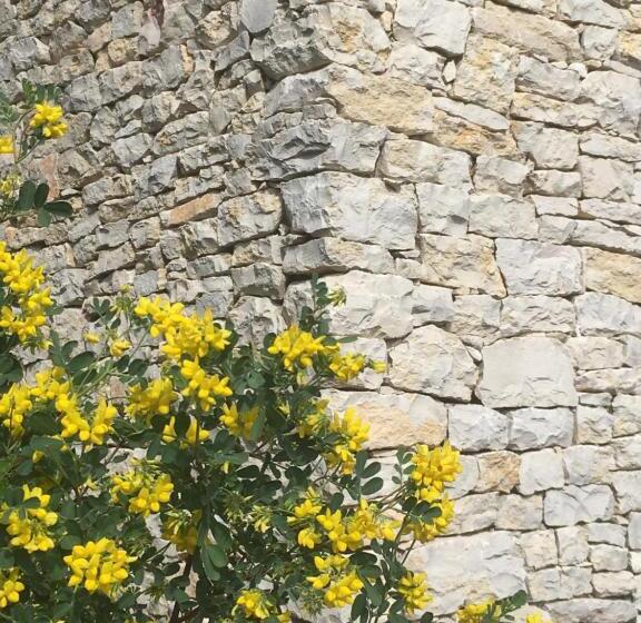 住宿加早餐  La Chambre Haute