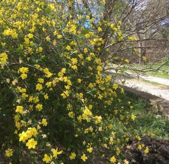 住宿加早餐  La Chambre Haute