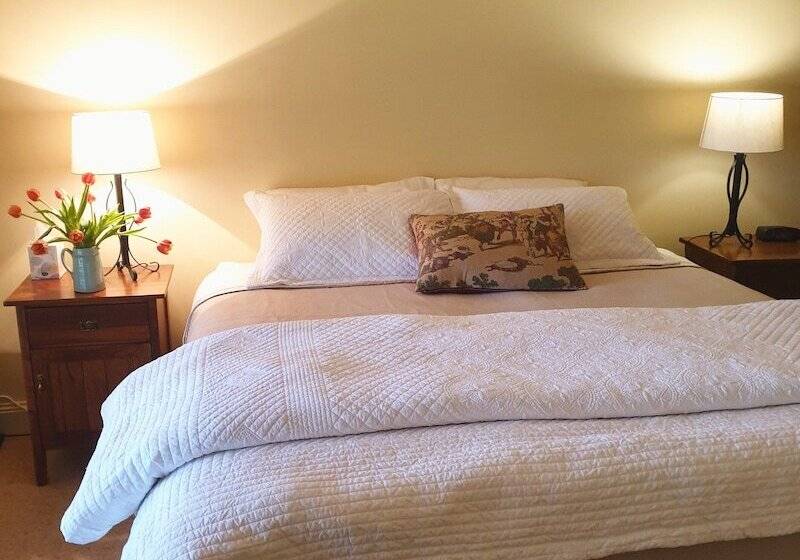 Byronsvale Vineyard And Accommodation