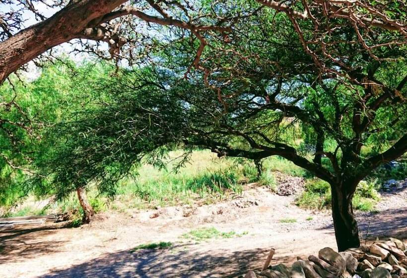 فندق La Quinta De María  Tilcara