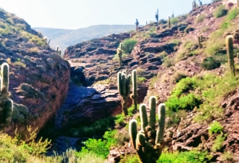 فندق La Quinta De María  Tilcara