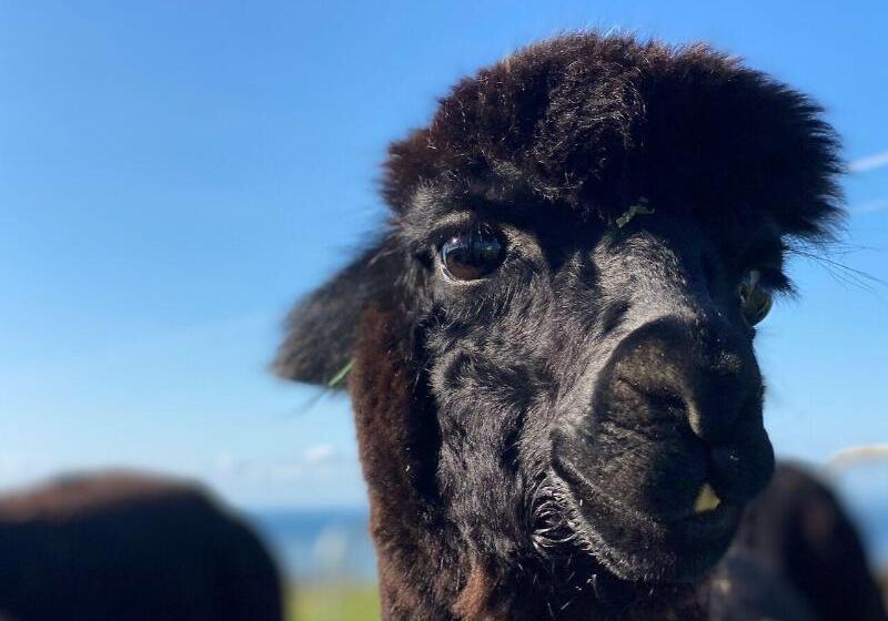 فندق Seacroft Estate