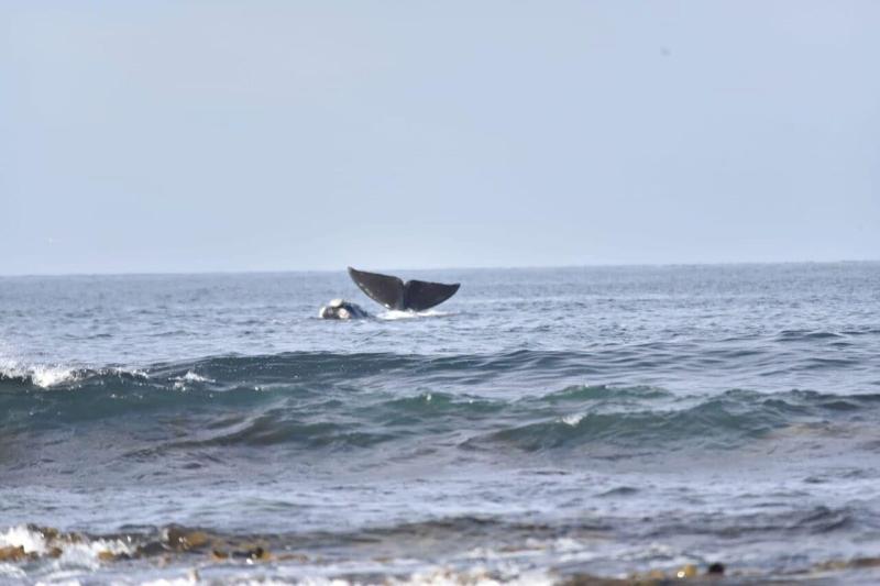 فندق Seacroft Estate