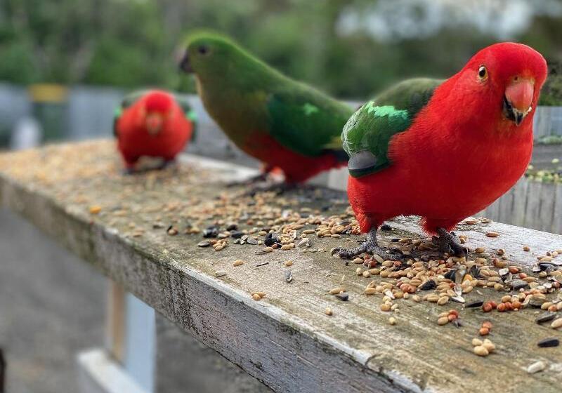 هتل Seacroft Estate