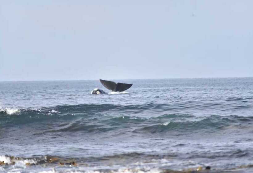 فندق Seacroft Estate