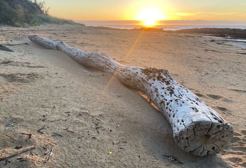 فندق Seacroft Estate