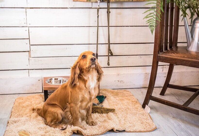 James  Place @ Pontmorlais