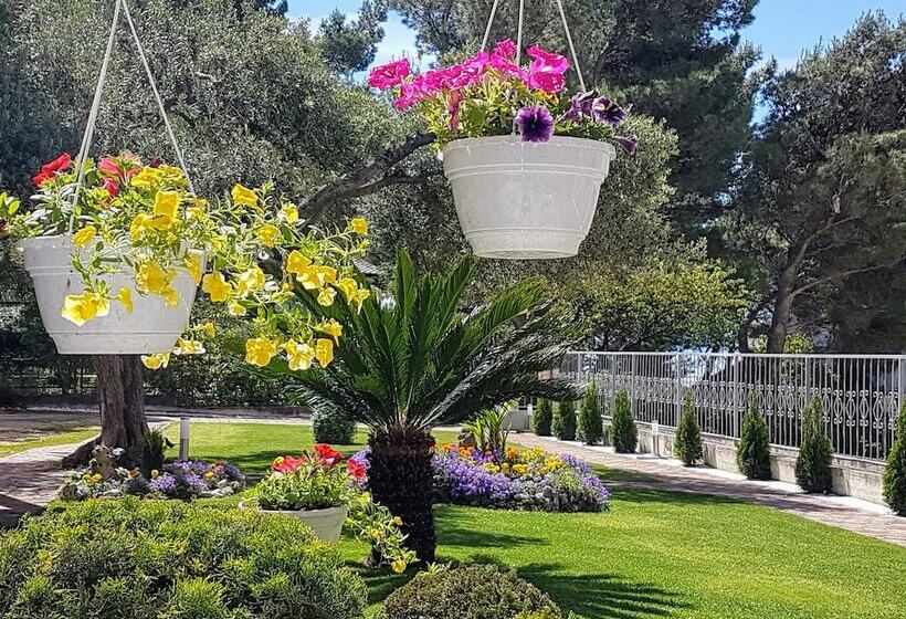 פנסיון Guest House Antonia