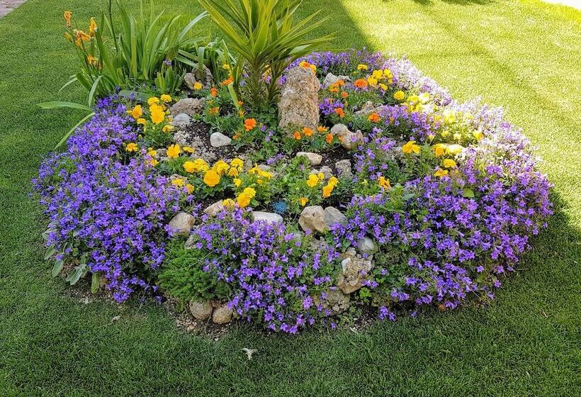 ペンション Guest House Antonia