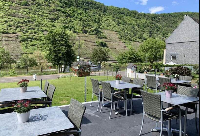 بنسيون Weinbergs Loge